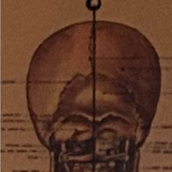 Custom Wall Hanging. Plumb line Skeletal System. - Picture 4 of 7